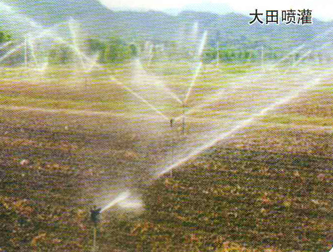 8-大田喷灌.jpg