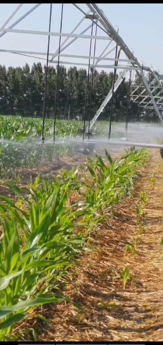 指针式喷灌设备试水